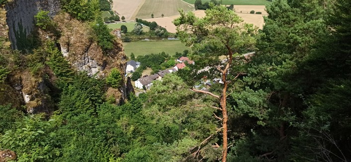 Bild von einem Hügel nach unten in ein Flusstal fotografiert, Sonne, MIttagszeit. Hügel sit nach unten hin mit Bäumen und Büschen bewachsen, die jetzt inder Sommerzeit grün sind. Links ein heller Jurakalkfelsen, links im Bild eine Kiefer mit typischer lichter Krone und markanter brauner glatter Rinde. Unten im Flusstap die Häuser des kleinen Dorfes Böhming und die Altmühl, die hier knapp 10 Meter breit ist. Hinter der Altmühl Getreidefelder kurz vor der Ernte.