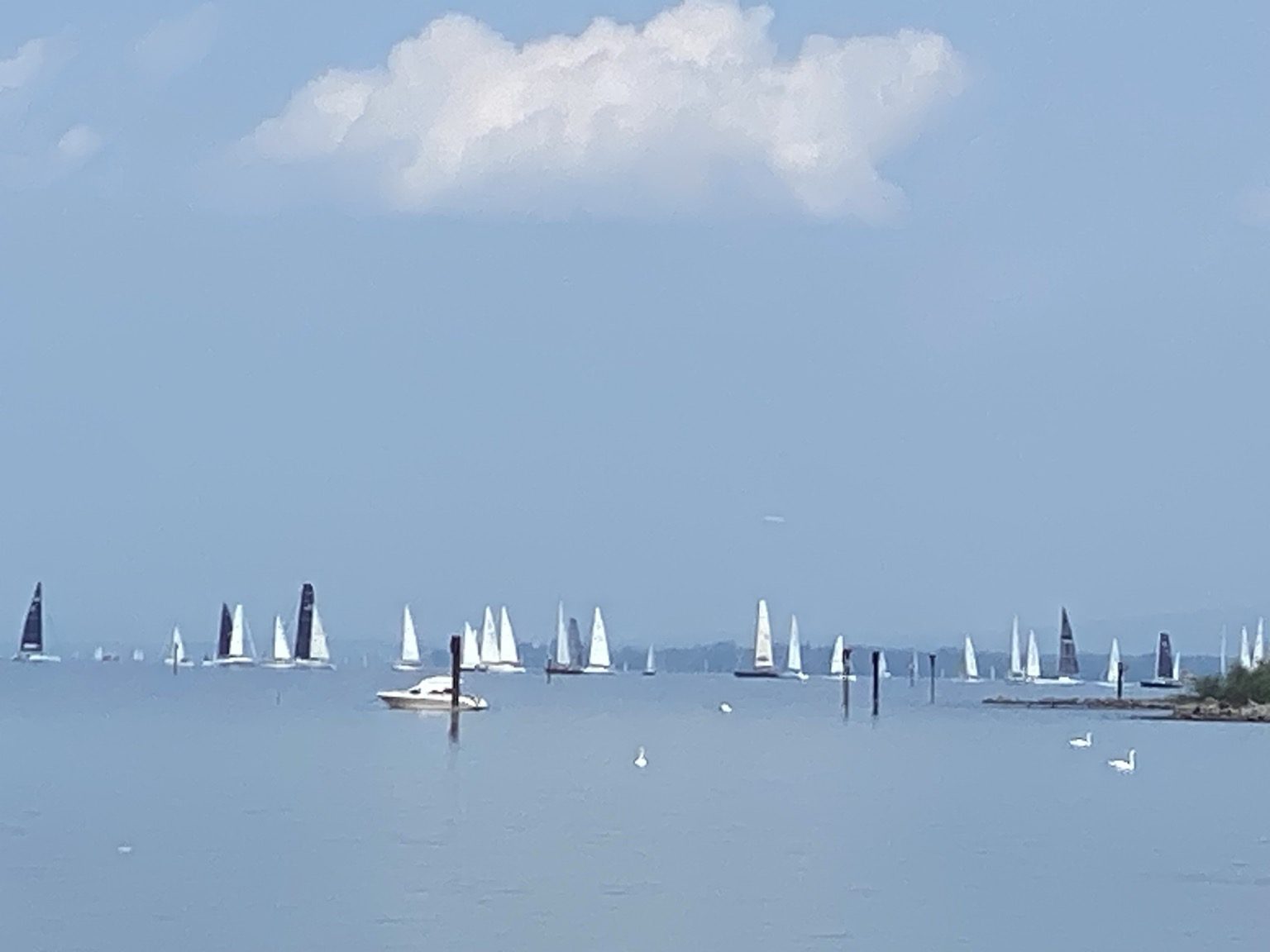 Auf dem See fahren mehr als 20 Segelschiffe. Eine Regatta war gestartet. Auf dem See fahren mehr als 20 Segelschiffe. Eine Regatta war gestartet.