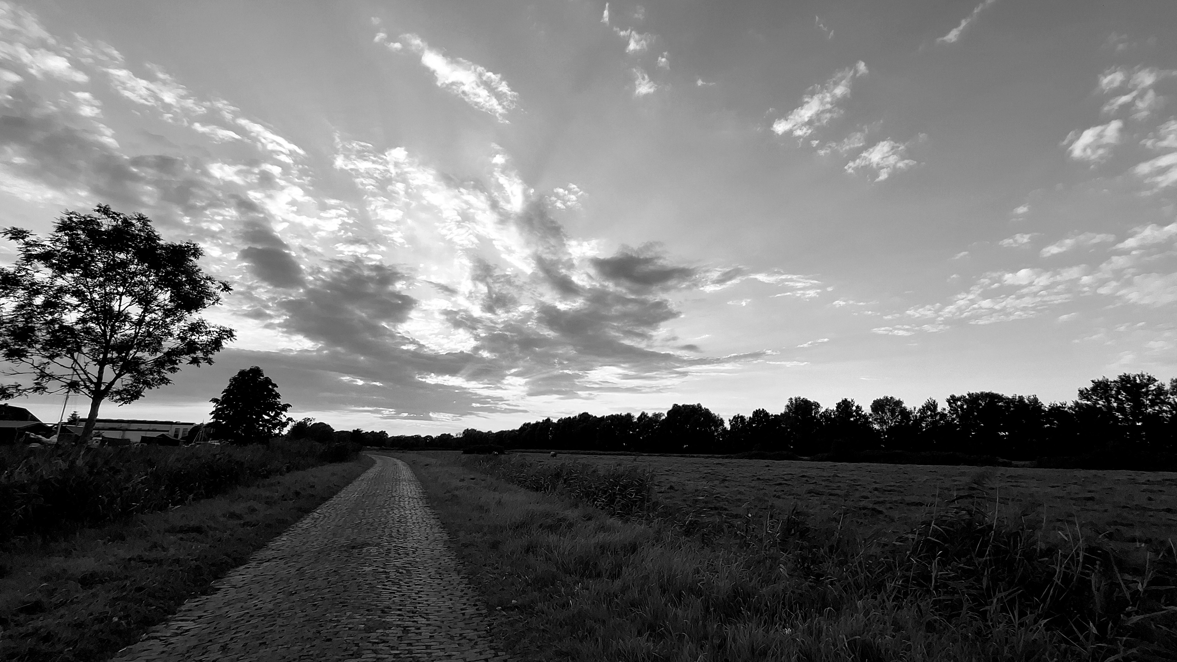Landschaftsfoto, 1 Drittel Boden, 2 Driitel Himmel mit aufziehenden Wolken über der Sonne.
Ganz links ist ein Baum, danach kommt ein Weg, der Rest ist Wiese. Am Horizont rechts neben dem Weg ist eine Baumkette. Landschaftsfoto, 1 Drittel Boden, 2 Driitel Himmel mit aufziehenden Wolken über der Sonne.
Ganz links ist ein Baum, danach kommt ein Weg, der Rest ist Wiese. Am Horizont rechts neben dem Weg ist eine Baumkette.