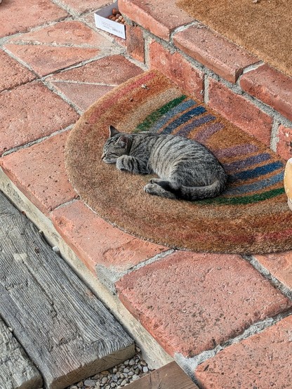 eine kleine graugetigerte Katze liegt entspannt mit geschlossenen Augen auf einem Fußabstreifer in der Sonne