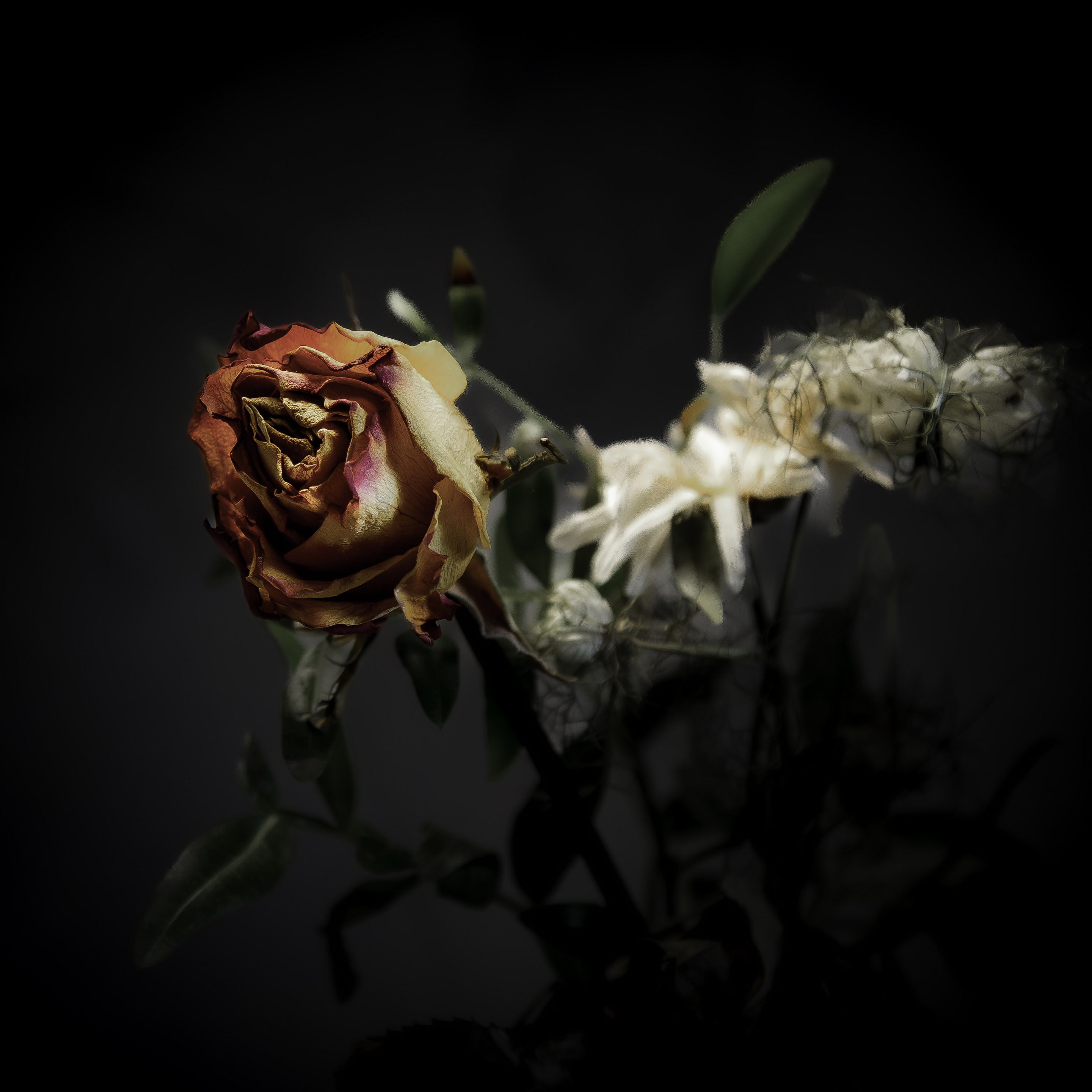 Auf der linken Seite ist die Blüte einer Rose zu sehen. Die Farben Rot, Orange und Gelb gehen fließend ineinander über. In der Mitte und weiter Rechts kann man unscharf erkennen das dieser Rose mit anderen Beigaben zusätzlich geschmückt wurden. Der Hintergrund der Szene ist iDunkel gehalten. Auf der linken Seite ist die Blüte einer Rose zu sehen. Die Farben Rot, Orange und Gelb gehen fließend ineinander über. In der Mitte und weiter Rechts kann man unscharf erkennen das dieser Rose mit anderen Beigaben zusätzlich geschmückt wurden. Der Hintergrund der Szene ist iDunkel gehalten.