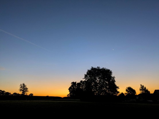 orange am unteren Horizont,neine dünne Mondsichel am noch blauen Himmel drüber, Silhouetten von Laubbäumen