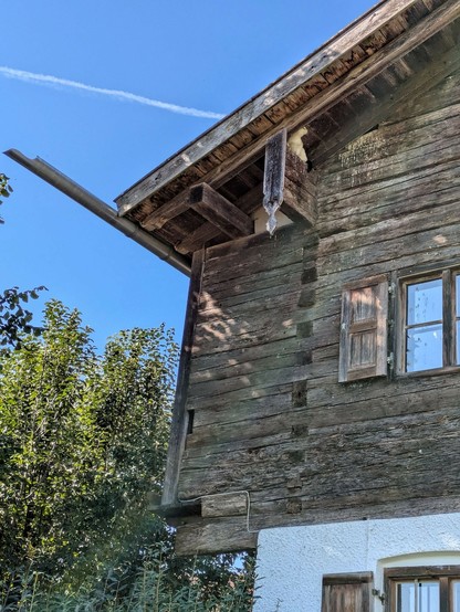 auf dem zweiten Dachbalken oberhalb vom ersten Stock sitzt eine kleine fast weiße Katze und schaut in Richtung vom Eingang zu einem Vogelnest