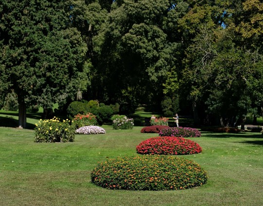 bunte Blumenrabatten in einer Wiese in einem Park