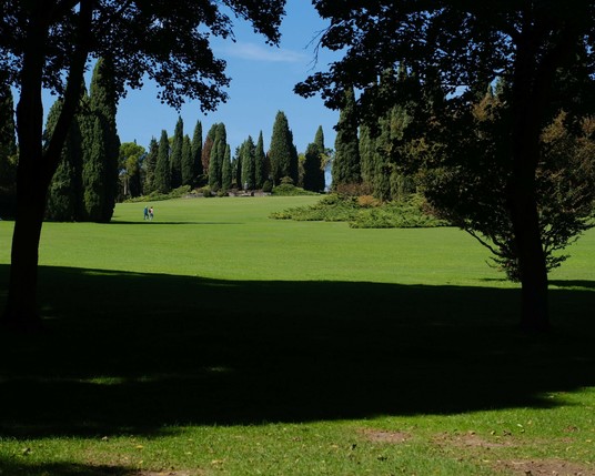 eine weite Wiese im Park