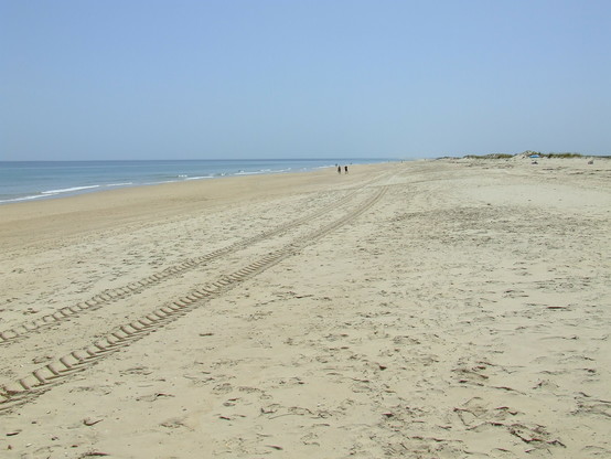 50 Meter breiter Sandstrand in der Mittagssonne, Sand cremeweiß mit zwei Spuren tiefeingedrückter Traktorenreifen. Links das Meer ohne Wellen blau im Bild, vorne am Bilddende eine zwei Meter hohe Düne mit Pflanzenbewuchs.