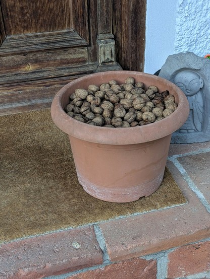 vor einer Haustür steht ein mittelgroßer Blumentopf mit ein paar Kilogramm Walnüssen drin