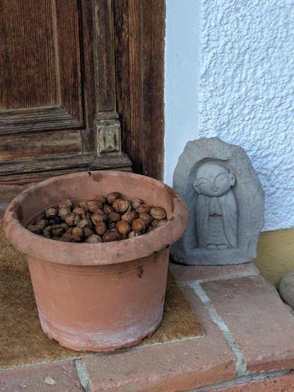ein mittelgroßer Blumentopf gefüllt mit z.T. nassen Walnüssen steht vor einer Holzhaustür.nEine kleine Buddhastatue steht rechts davon.