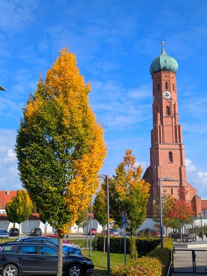ein säulenförmiger Laubbaum, der nur links gelb ist und sonst noch grün.nDahinter der Kirchturm der Kirche in Vilsbiburg