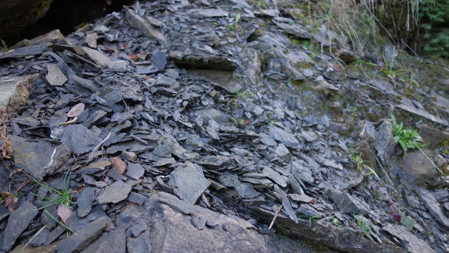 Durch Erosion bricht weicher Stein in größere und kleinere schwarze Brocken mit jeweil scharfen Kanten. Das Gestein ähnelt farblich Schieder, bricht aber nicht in Platten, sondern muscheliger. Der Fotograf fokussiert einen Teil des Hanges scharf, der hintere verschwimmmt in Unschärfe.
