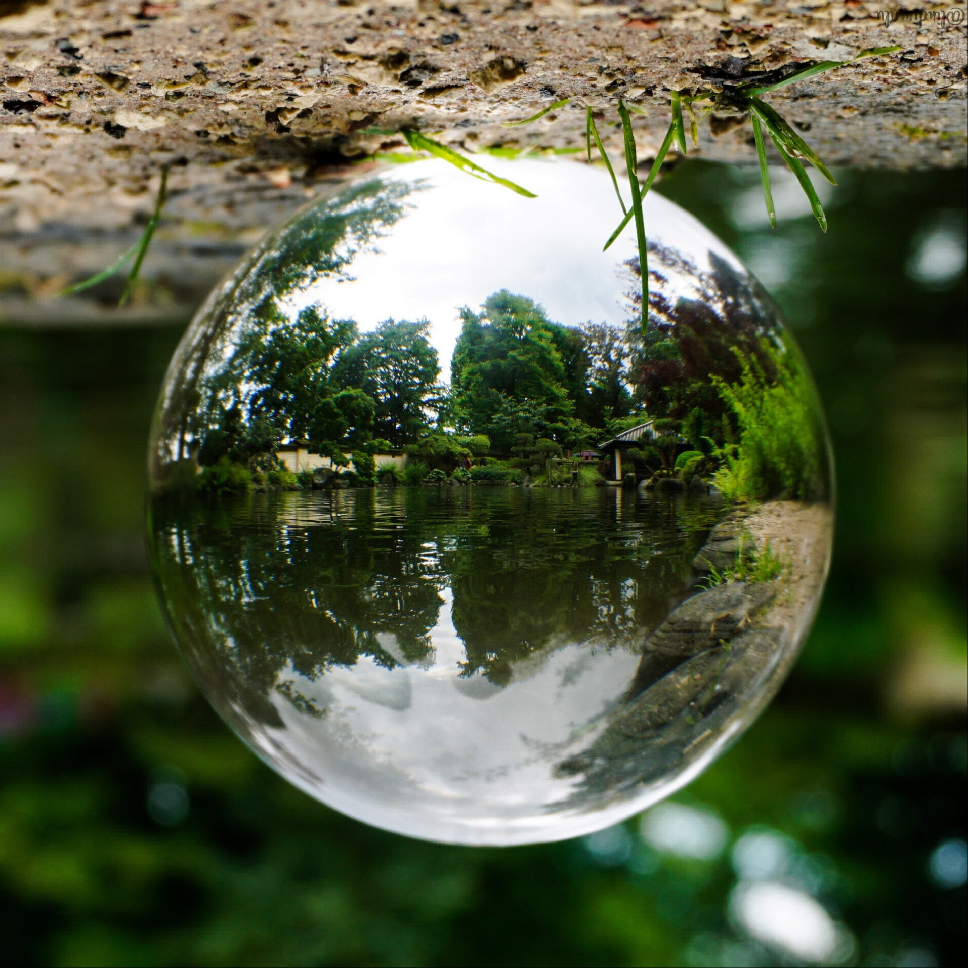 Das Teehaus am See im japanischen Garten in Kaiserslautern, fokusiert in einer Kristallkugel. 