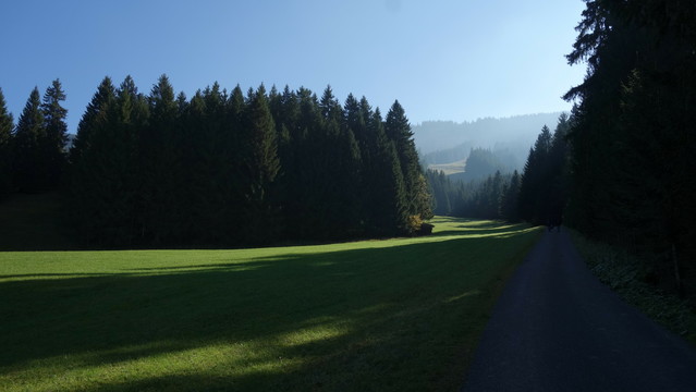 Bild zeigt einen Weg und Wald, im Hintergund Berge im Sonnenlicht eines Herbsttages. Der Weg im Vordergrund rechts unten des Bildes ist kaum zu sehen, recht von ihm hohe Nadelbäume, die auf die Wiese links des Weges Schatten auf die noch grüne Wiese werfen. Nach der Wiese ein Stück Nadelwald, beleuchtet von der Morgensonne. Dahinter in blauem Dunst einige höhere Berge.