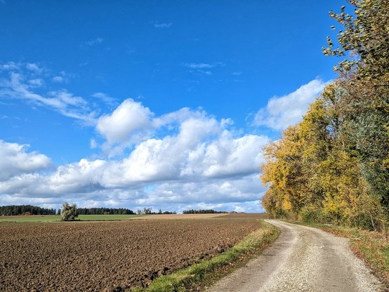 blauer Himmel und weiße Wolken über einem braunen Acker und einem Feldweg entlang mit bunten Bäumen