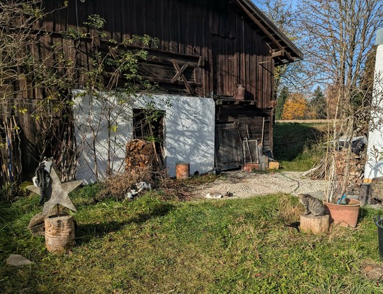 sonniger, teilweise grüner Innenhof eines alten Bauernhofs in dem 4 Kätzchen und 2 Katzen die Sonne genießen und spielen. Auf einem großen Holzstern sitzt eine Katze. Vom Baumanschnitt schaut Katzenmama auf ihr schwarzes Kind drunter