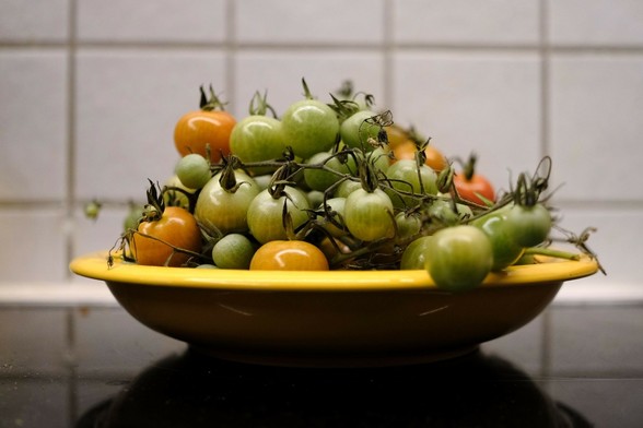 in einem tiefen gelben Teller liegen kleine grüne Cocktailtomaten