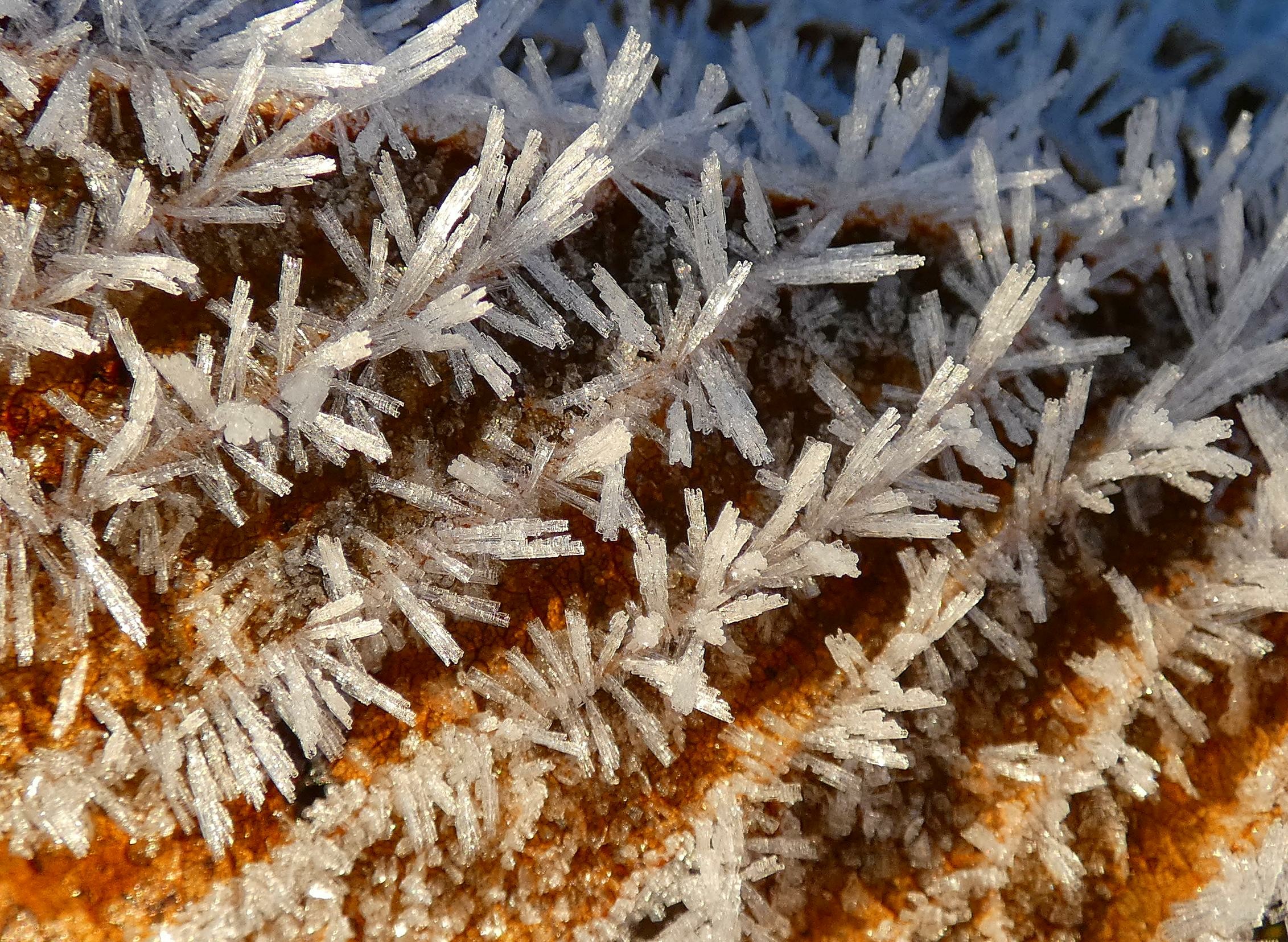 Frost auf einem Blatt,sehr nah herangezoomt.