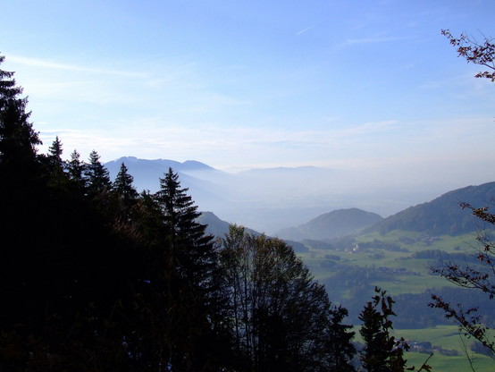 Abstieg von einem Berg, Abendlicht, aus dem Tal steigen schon dunsitige Nebelschwaden in den blauen Himmel und setzen sich als Decke über dem Tal fest Im Vordergund noch Wald und hohe Fichten, im Hintergrund die sanfteren Hügel des Voralpenlandes mit noch grünen Wiesen im Tal