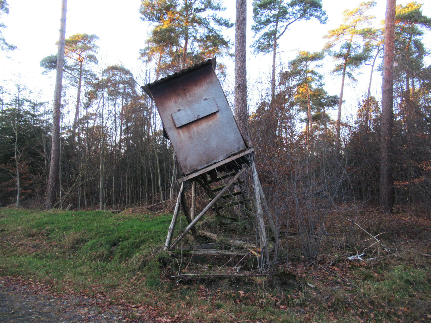Ein Hochsitz, dessen Ausguck jeden Moment abzustürzen scheint in einem Wald