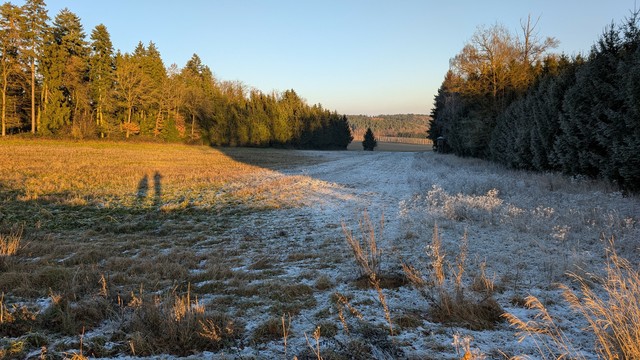 Zwei gegenüberliegende Waldstücke, getrennt durch ein Feld und Wiese. Die Wiese im Schatten des rechten Waldstücks ist mit dickem Rauhreif bedeckt, das Feld und Wald links von der Sonne beschienen leuchtet in Herbstfarben.