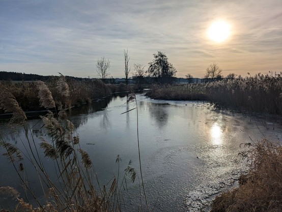 eine flache Stelle der Vils, fast ganz zugefroren. Am Rand Schilf. Eine fahle Sonne am Himmel und Spiegelung davon im Eis