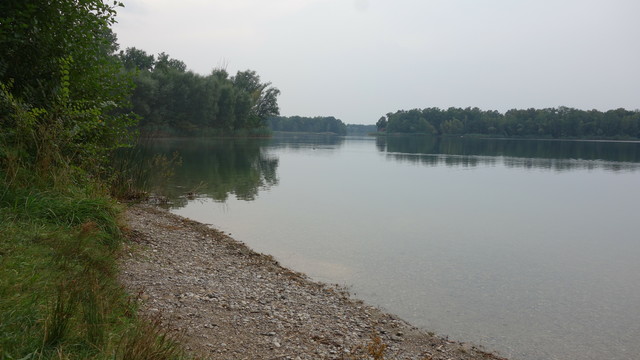 Blick auf einen See mit Kiesufer im wolkenverhangenen Vormittagslicht, links eine hohe Baumreihe mit Laubbäumen, ebenso am anderen Ufer des Sees. Sie spiegeln sich auf der glatten Wasseroberfläche. 