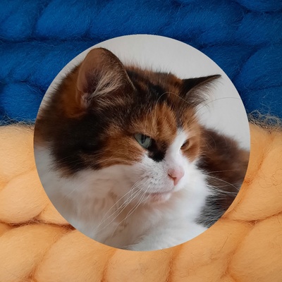LiraLarum