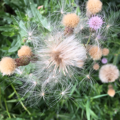 sturmwanderer@troet.cafe