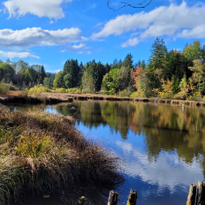 gedankentaenze@troet.cafe