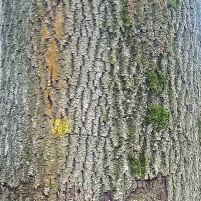 millimeterarbeit@troet.cafe