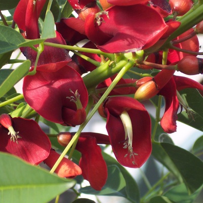 fitzibits27y@troet.cafe