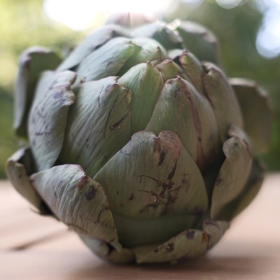 wilderdbeere@troet.cafe