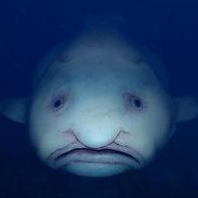 laaaaangweilig@troet.cafe