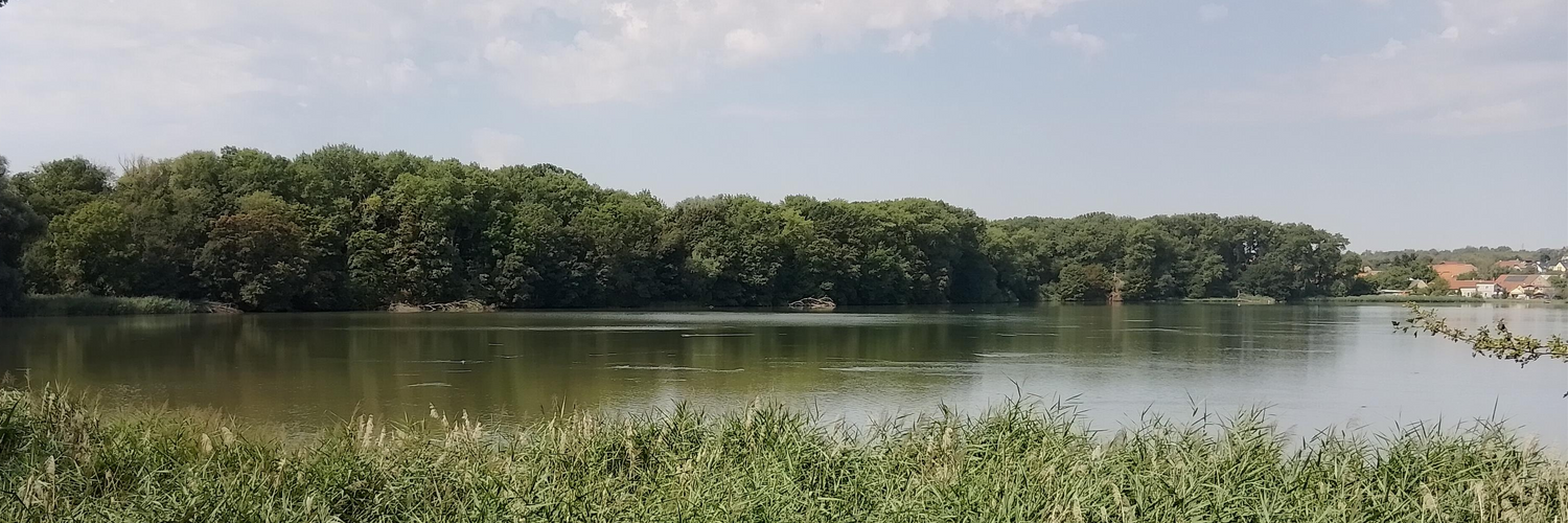 Header Image