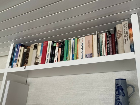 Bücherregal in einer Ferienwohnung mit älteren Titeln von Grzimek, Solschenizyn und unvermeidlich Tom Clancy. Man sieht auf die Bücherrücken, die Bücher sind eher dekorativ genau unter der Decke.