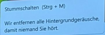 Stummschalten (Strg + M)
Wir entfernen alle Hintergrundgeräusche, damit niemand Sie hört.