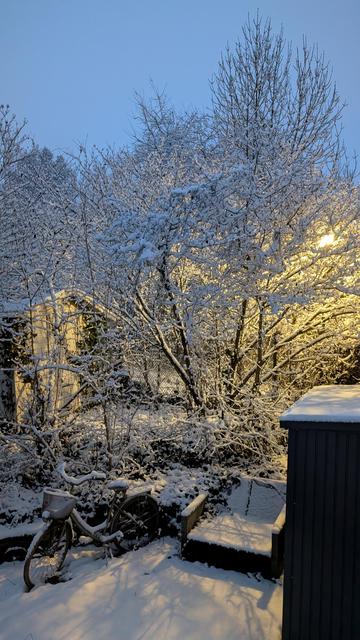 Verschneites Gebüsch, Hütte und Gartenmöbel, vom Licht einer Straßenlaterne erhellt.