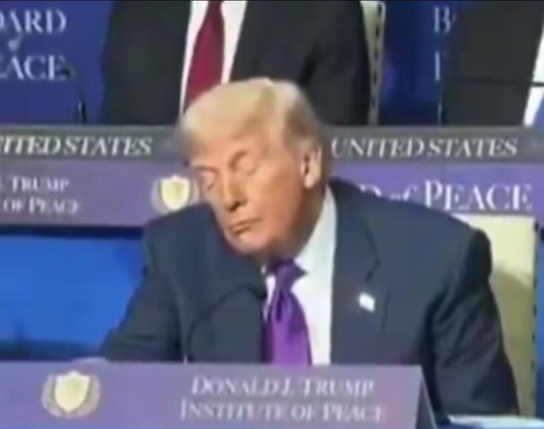 Sorry, no caption provided by author