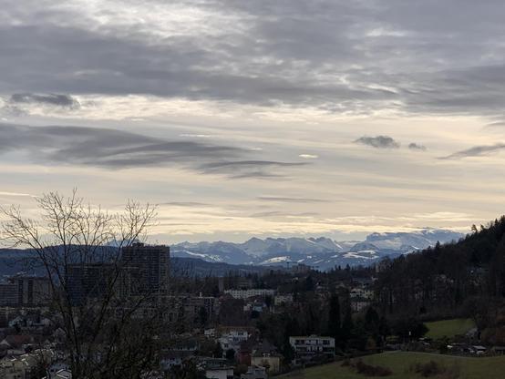 Blick vom Hasenrain über das Triemli Richtung Glarner Alpen. Die Bisenlage lässt die Alpen gut erkennen, der Himmel ist hell, aber verschleiert.