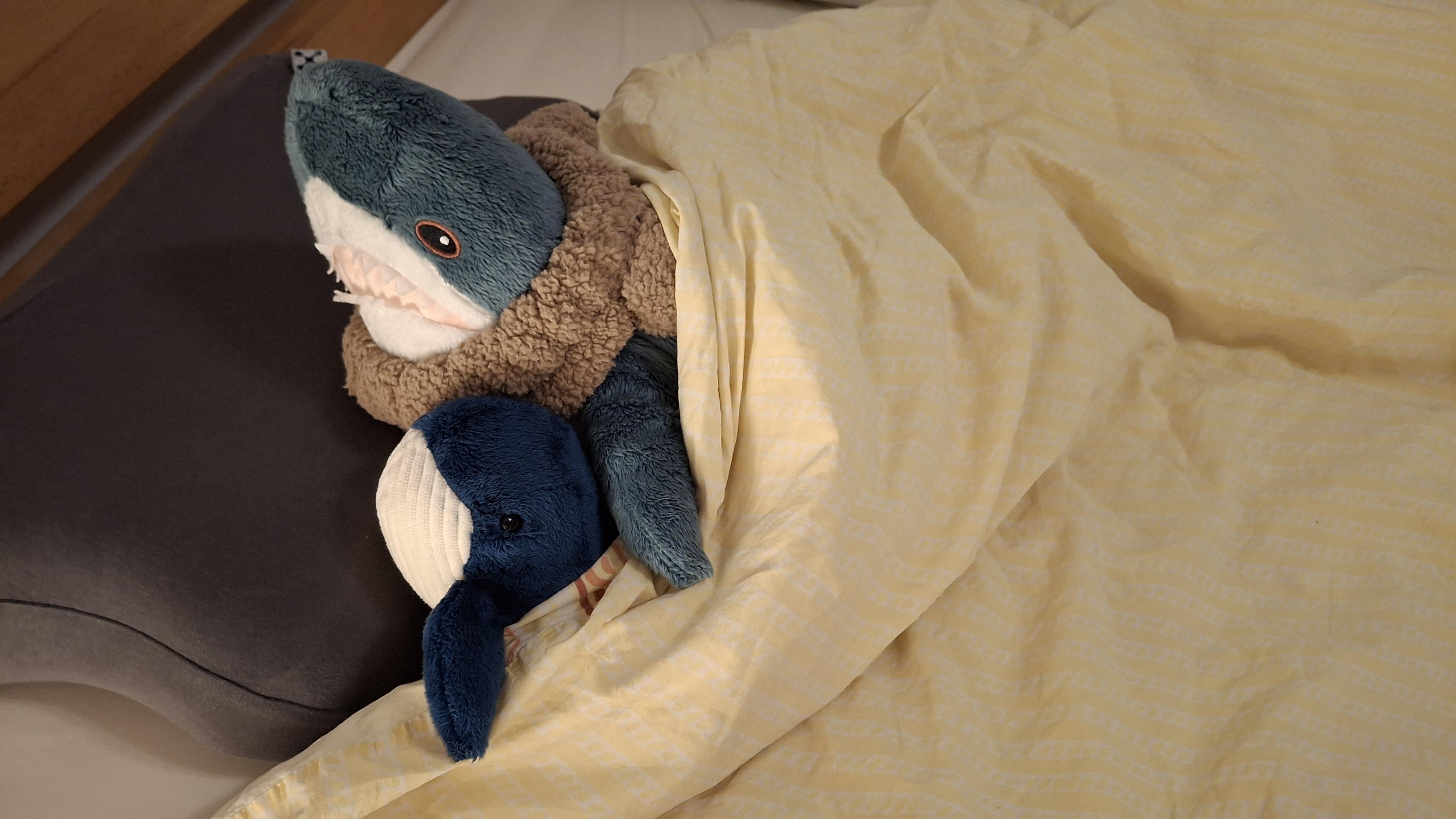 Sorry, no caption provided by author