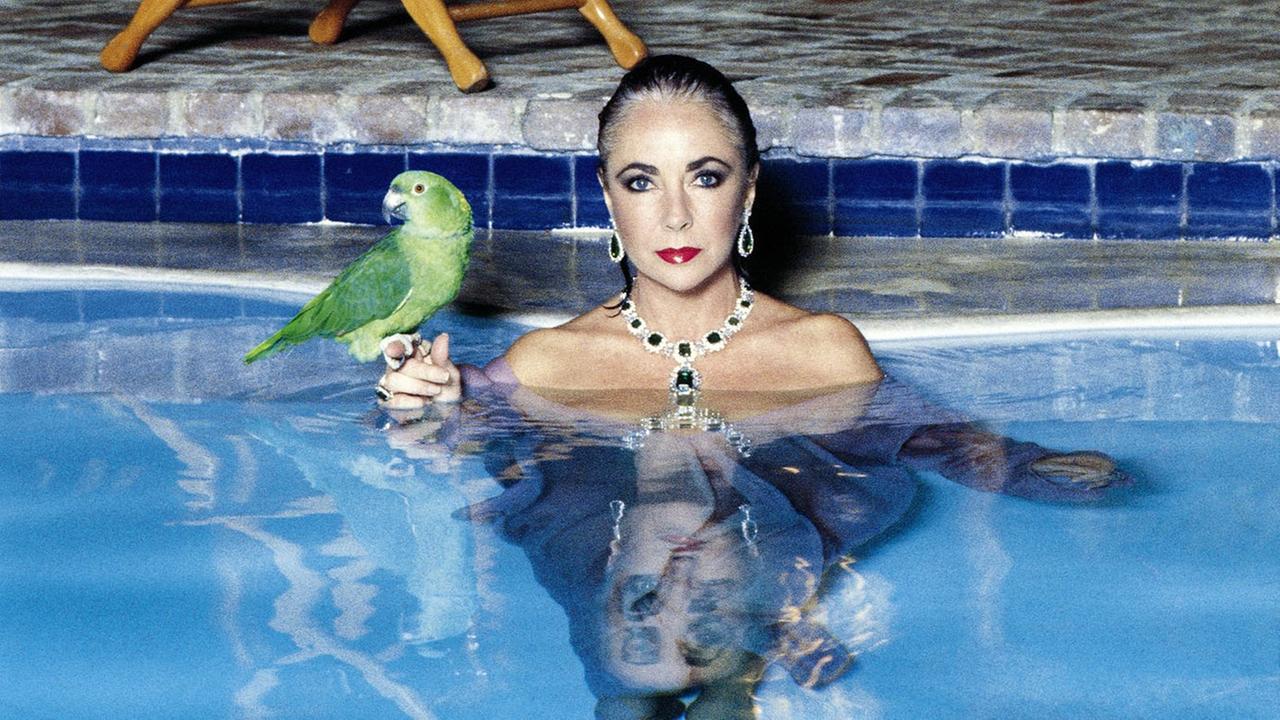 Mal ein Bild, das (leider) nicht ich gemacht habe. 
Liz Taylor in einem Pool. Eine vermutlich extrem teure Halskette mit passenden Ohrringen, ein grüner Papagei auf ihrer rechten Hand. 
Damals geschossen von Helmut Newton.