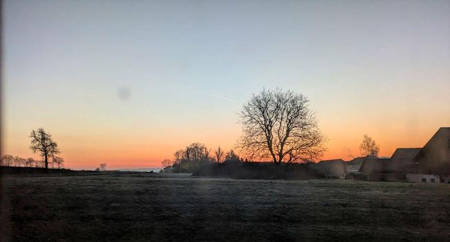 Sonnenaufgang mit oranger Farbe am Horizont. Ein paar kahle Laubbäume als Silhouette 