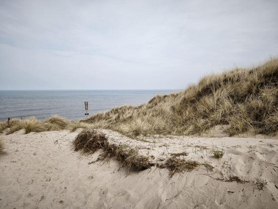 Sanddüne, die ins Meer hin abfällt