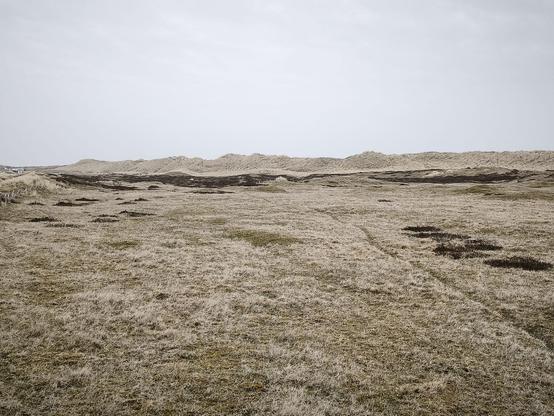 weite Landschaft mit beigebraunem Grasbewuchs