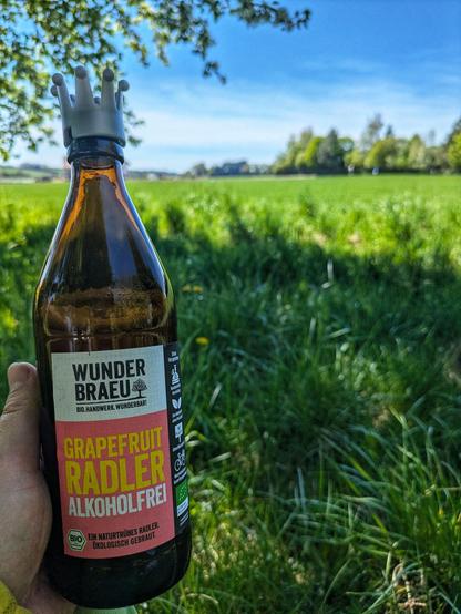 eine Flasche Wunderbräu Grapefruit Radler alkoholfrei in einer Hand, dahinter grünes Feld und blauer Himmel 