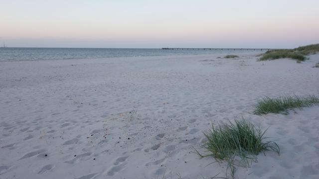 Menschenleerer breiter Sandstrand. Der Sand ist fast weiß, das Licht ist nochgrau, also Morgenlicht. Im Vordergrund rechts ein paar dicke  Strandhaferbüschel in kräftigem Grün. Weiter hinten fürt ein Landungssteg in das Wasser, das sich blau vonm weißen Sand abgrenzt und riuhig und ohne Wellengang liegt. Überall im Vordergrung Spuren und Tritte im Sand-