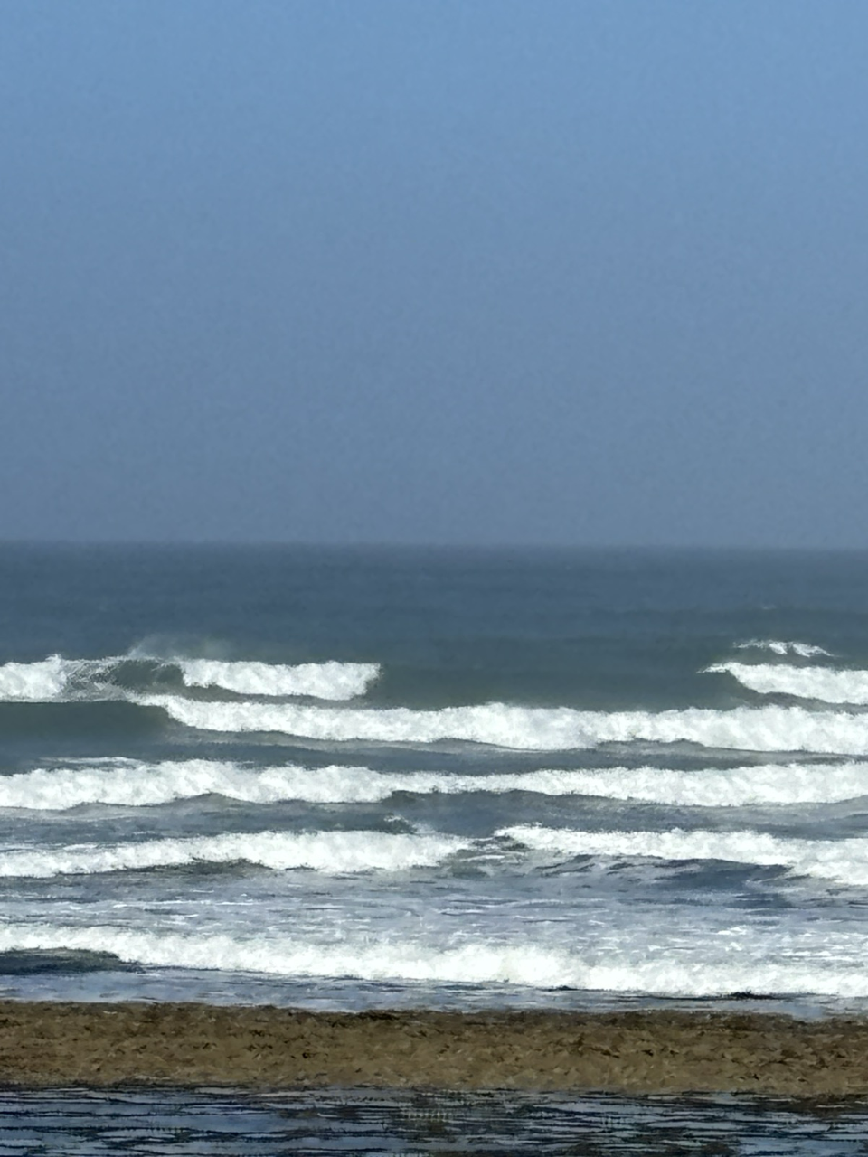 Posted media