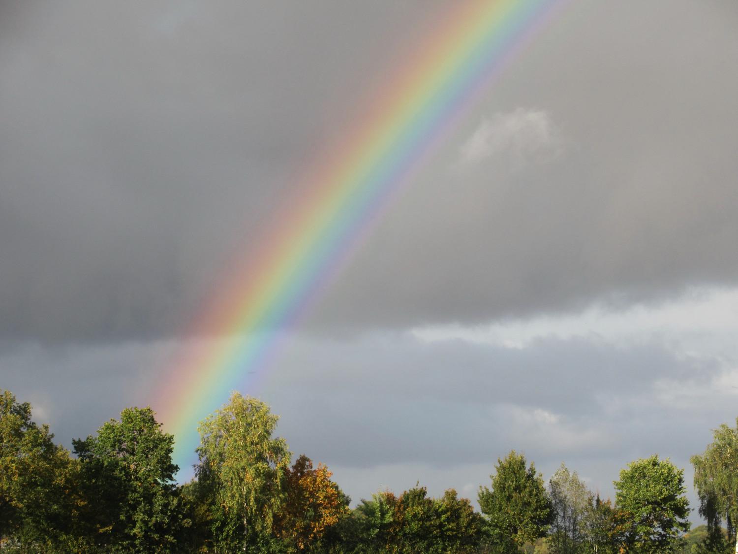 Ein halber Regenbogen über Bäumen, dunkle Wolken am Himmel