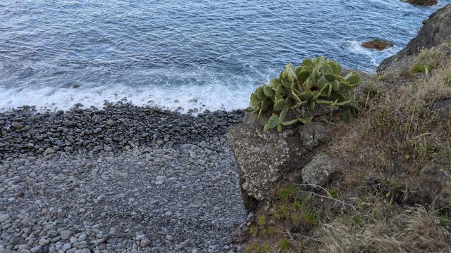 Bild von einem Strand bestehend aus großen runden schwarzen Kiesel, an denen sich das blaue Wasser weiß schäumend bricht. Rechts im Bild ein Felsvorsprung, auf dem eine Kaktee wächst und einen grünen Tupfen in die Landschaft setzt.
