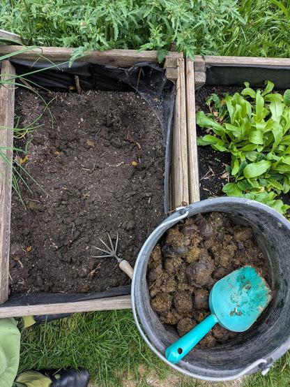 in einem Eimer sind Pferdeäpfel und eine Schaufel. Links davon ein Beet mit Erde und einer fünfzinkigen Kralle