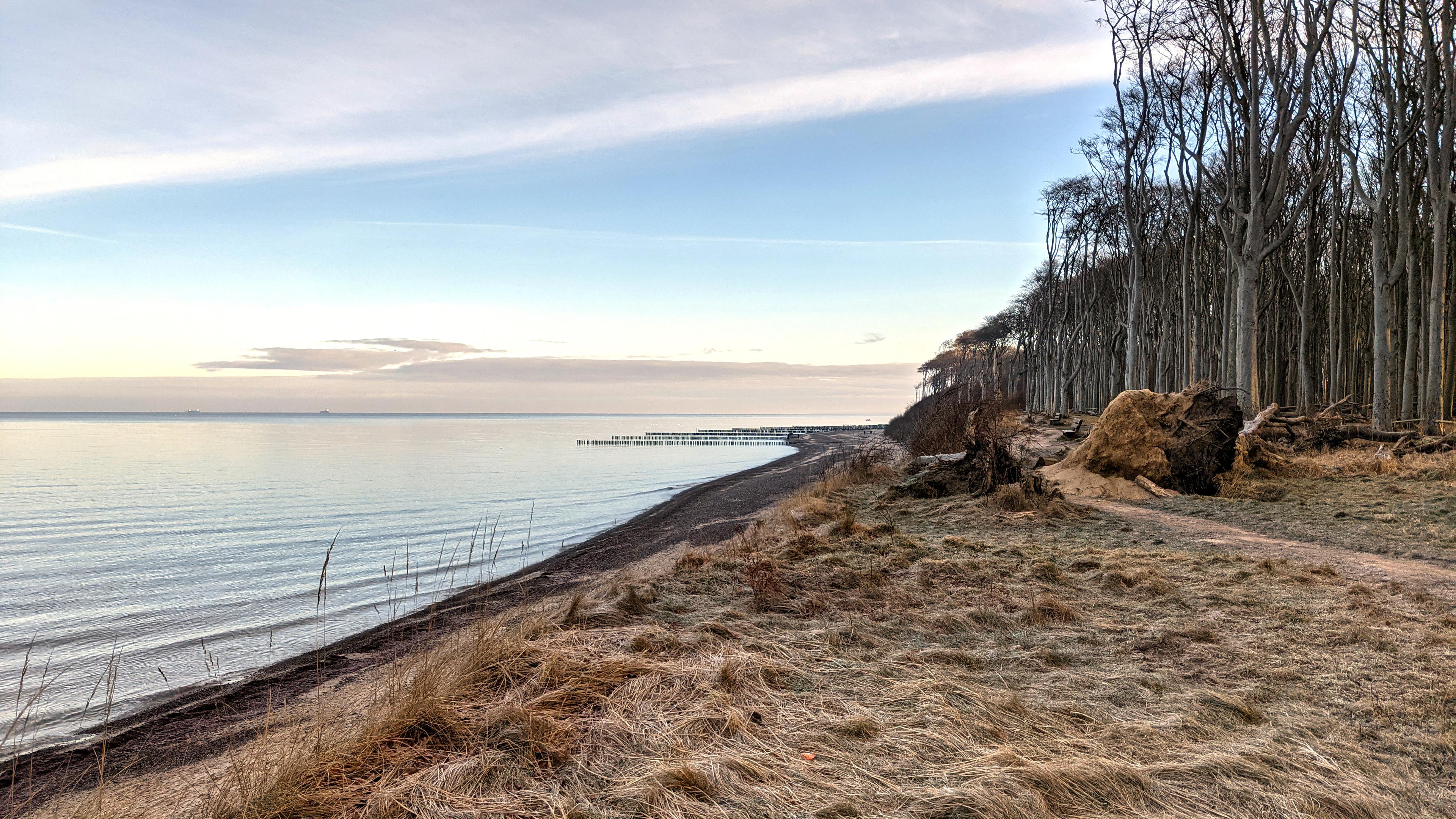 Der Betrachter steht am Rand eines nicht allzu hohen Steilufers und blickt die Küste entlang. 
Links ist die fast unbewegte winterliche Ostsee zu sehen. Rechts ein Küstenwald mit kahlen Rotbuchen. Im Vordergrund plattgedrücktes braunes Gras und die Wurzelballen umgestürzter Bäume. 
Weiter hinten sind Buhnenreihen zu erkennen. Blauer Himmel mit flachen Wolkenschichten.